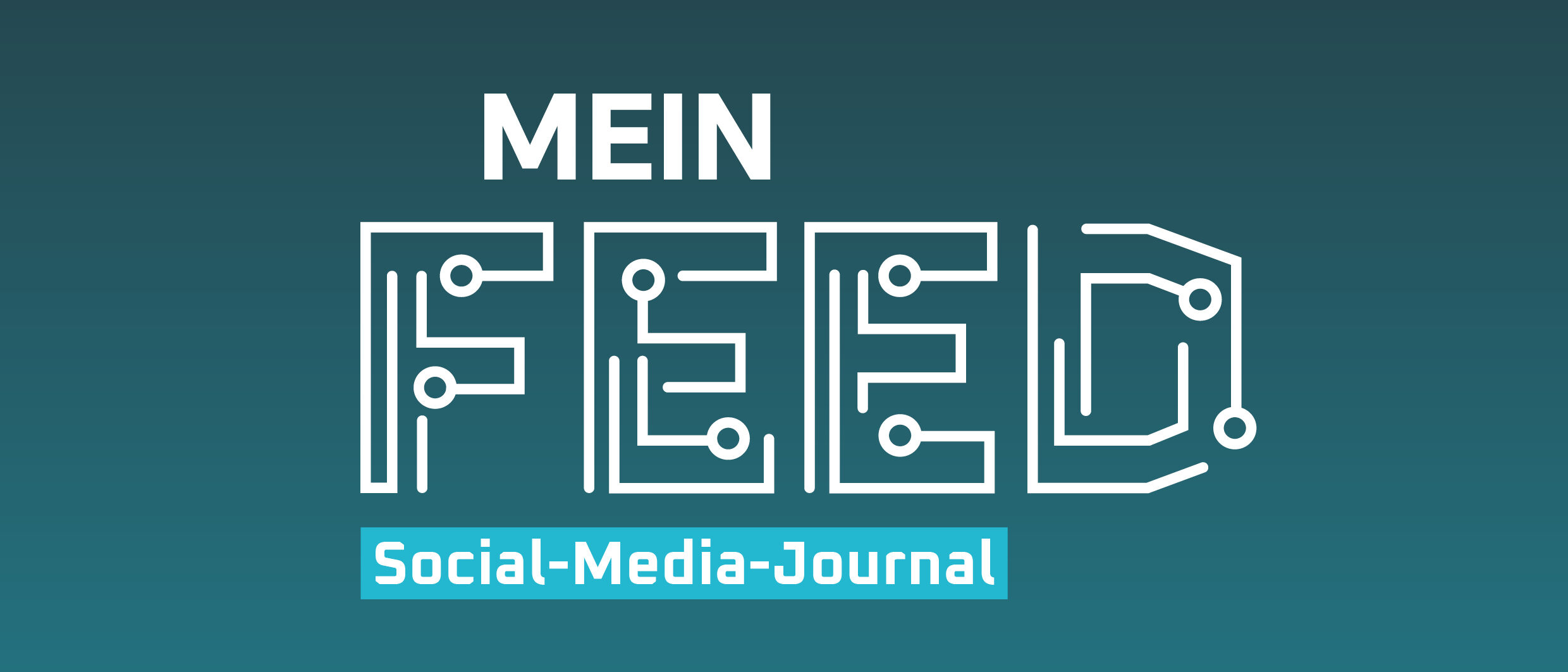 Mein feed social-media-journal cover