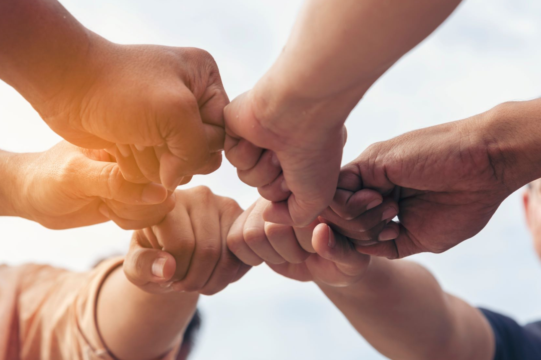 Ein Kreis aus Fäusten, die miteinander abklatschen